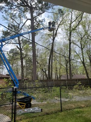 John cutting trees in Beaumont, Texas