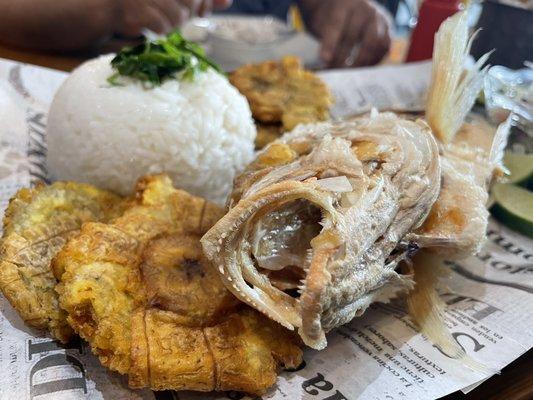 Pescado Frito with white rice and tostones