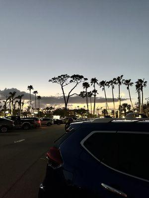 Beautiful after dinner Venice Beach sky