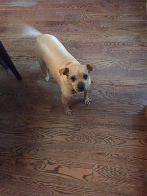 Matilda excitedly awaits dinner