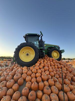 Pumpkin mountain