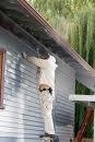 San Francisco House Painter