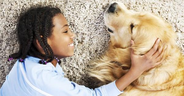 Make sure your nap spots are healthy and deep steam clean.