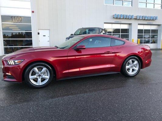 American ford Mustang