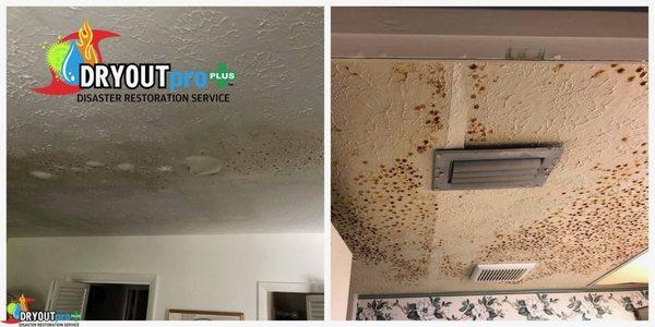 Water Damage & Mold