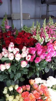 We always have a gorgeous selection of roses!!