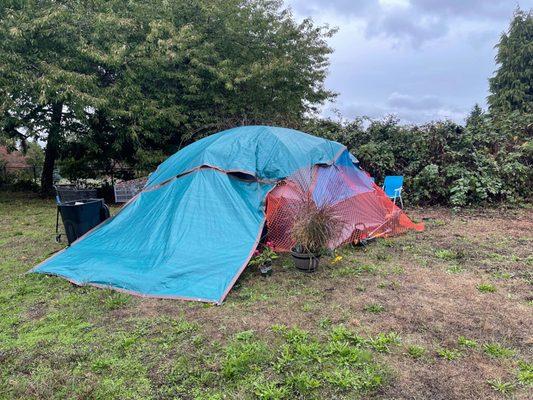 Seattle City Light Sanctioned Encampment