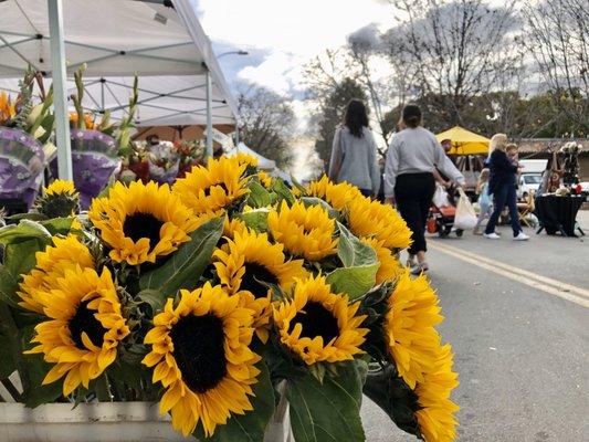 Santa Clara Farmers' Market