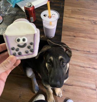 I stopped at pet supreme in Sylmar to pick up taro boba cookie for my pup.