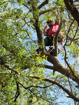 Ninja Tree Care & Service