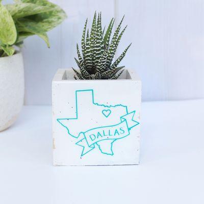 Dallas, Texas planter