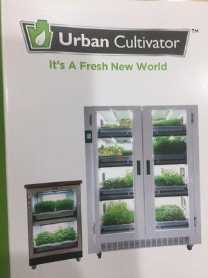 An urban cultivator to grow greens in your kitchen