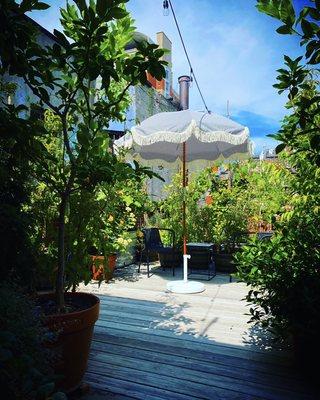 Now offering socially-distant private yoga lessons in our outdoor rooftop garden!