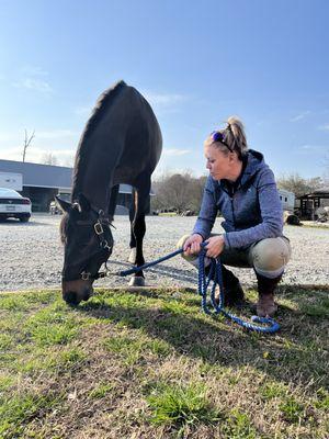 3H Equine Hospital and Mobile Veterinary Services