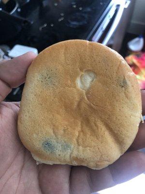 Moldy hamburger bun.