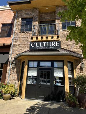 Culture Aesthetics And Salon