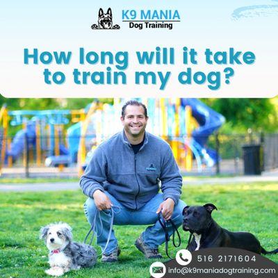 K9 Mania Dog Training