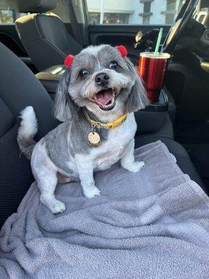 Missy after haircut at spa day