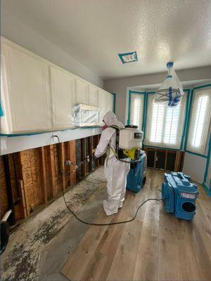 Mold Remediation