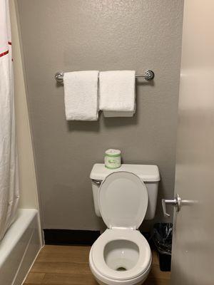 Toilet and bathroom towels.