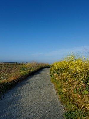 On the trail