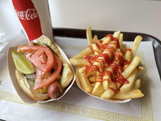 Hot Dog and fries