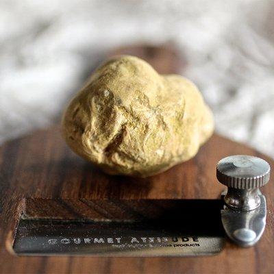 White truffle imported by Gourmet Attitude Truffles