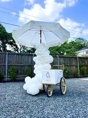 POPSICLE CART