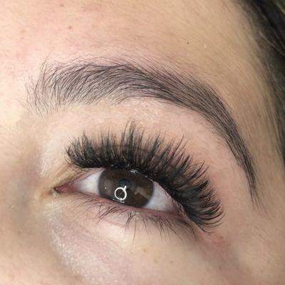 Volume Lashes