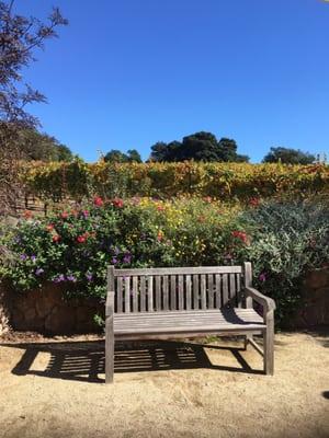 This was a view from the first winery we visit! Beautiful!!