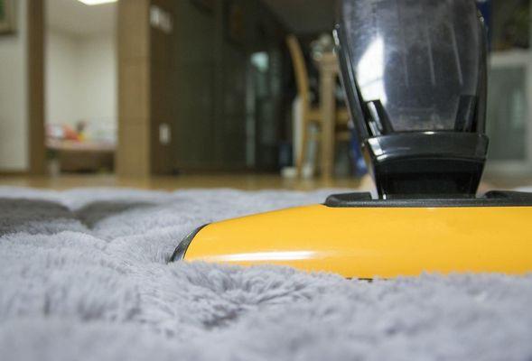 Healthy Air Fast Fact: Use a vacuum with a HEPA filter at least 2 times a week to reduce the amount of lead, pet dander, outd...