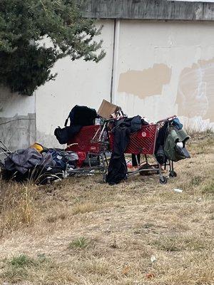 Seattle City Light sanctioned encampments