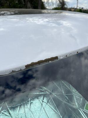 Paint falling off above the windshield.