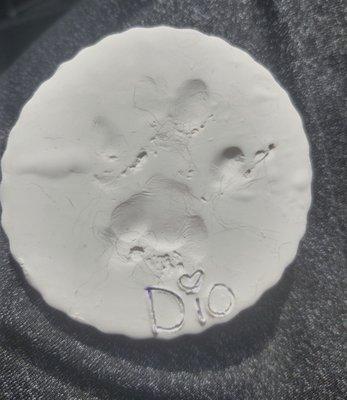 Dio's paw print (front) thanks catisfaction!