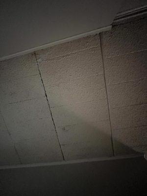 Mold on ceiling tiles