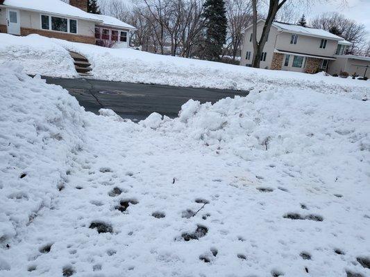 Andrew's Lawn and Snow