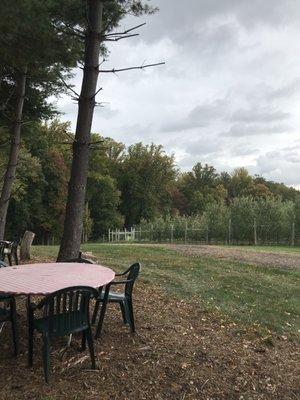 Table next to the orchard!