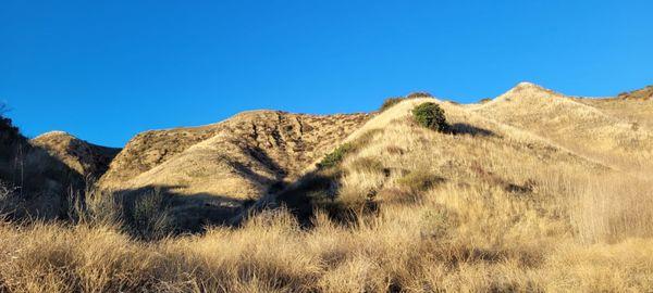 Beautiful hills around Mentryville