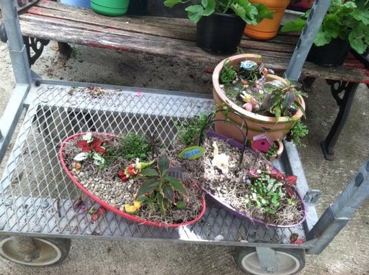 Several fairy garden