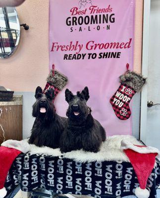 Best Friends Grooming Salon