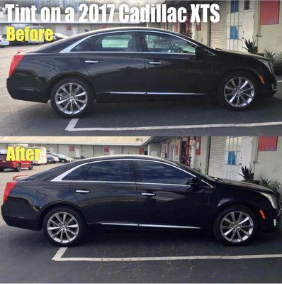 Window Tint on Cadillac XTS