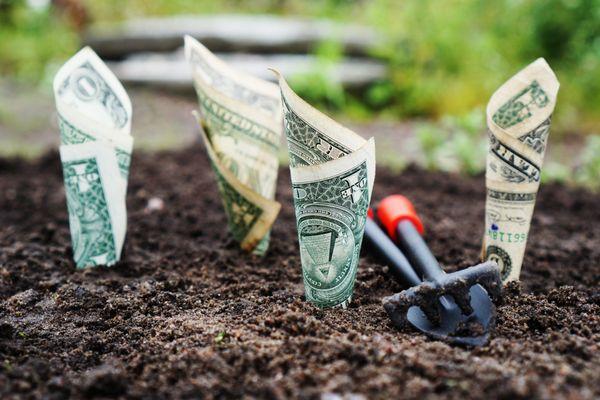 Want to watch your money grow? Call Bladecutter's and ask how we can help you today.