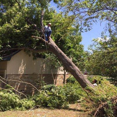 Aggieland Tree Service