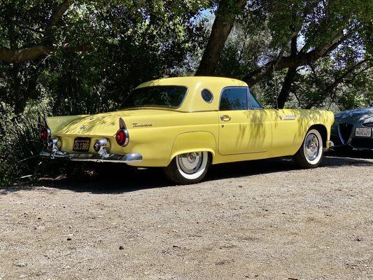 1955 Ford T-Bird