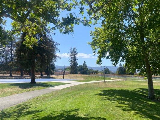 New basketball court