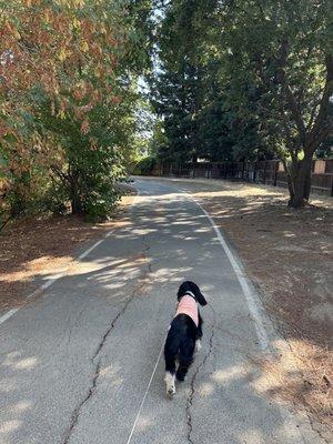 Bike path (it's in the name) but fine to walk as well.  Ain't no "hike."