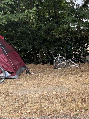 Seattle City Light sanctioned encampments