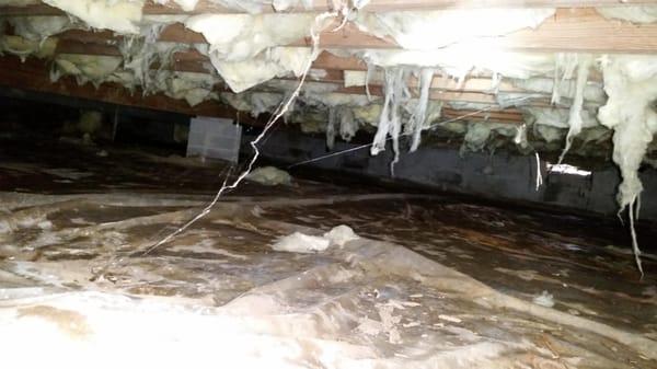 Crawlspaces can be UGLY, but that doesn't mean they are dangerous to your health or safety...