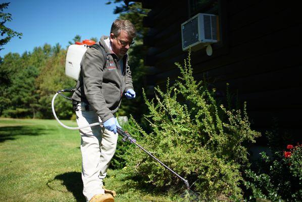 Service professional treating shrubbery around a house