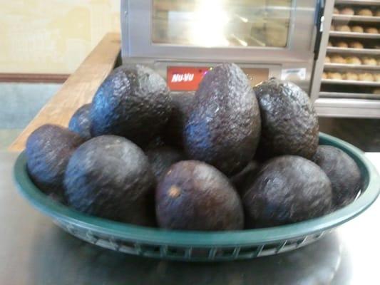 Fresh Avocados